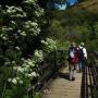 Crossing the bridge which marks the hikes start. Underneath is a lush small stream which feeds a reservoir near the coast.